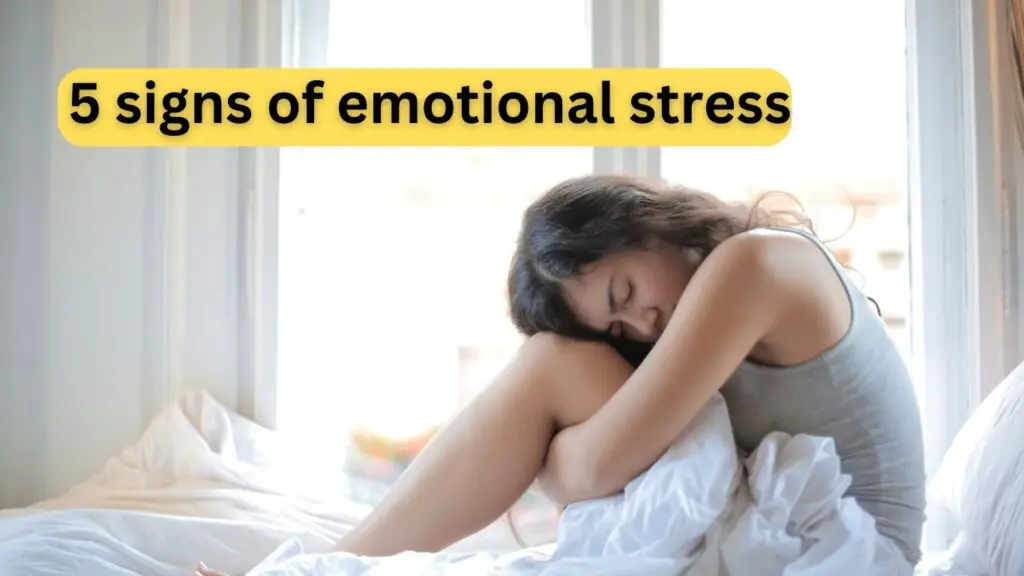 Navigating Emotional Stress Indicators