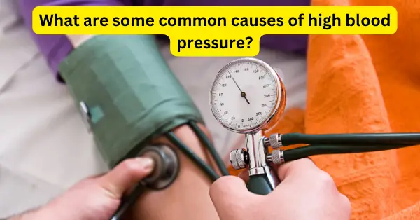 What are some common causes of high blood pressure